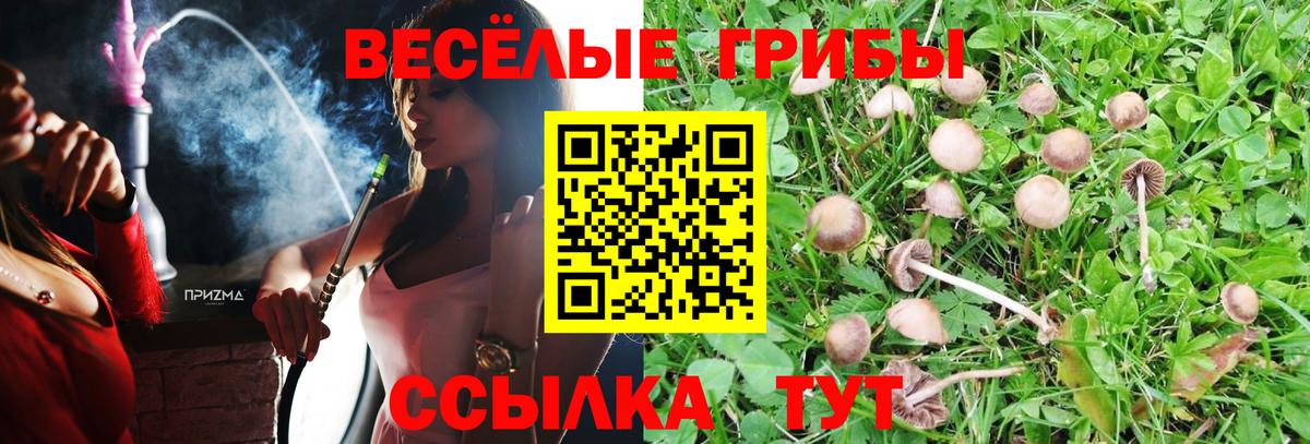 Псилоцибиновые грибы ЛСД  Вход с VPN  Саяногорск 